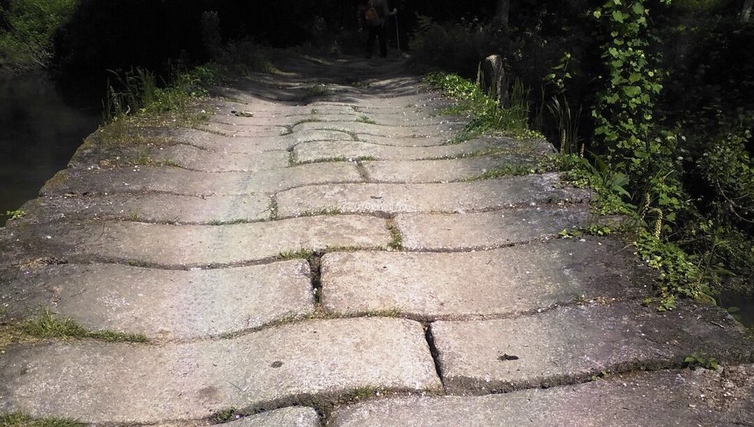 Bispos decidem que caminhos tomar para afrontar abusos