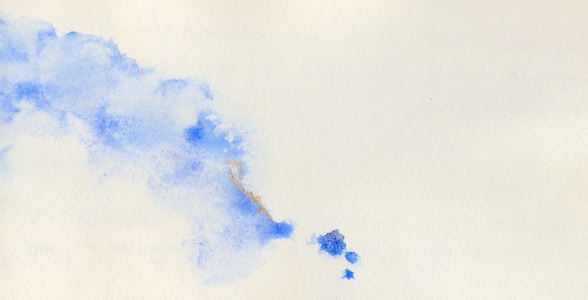 Ilustração © Aquarela original de Susana Braguês para esta publicação.