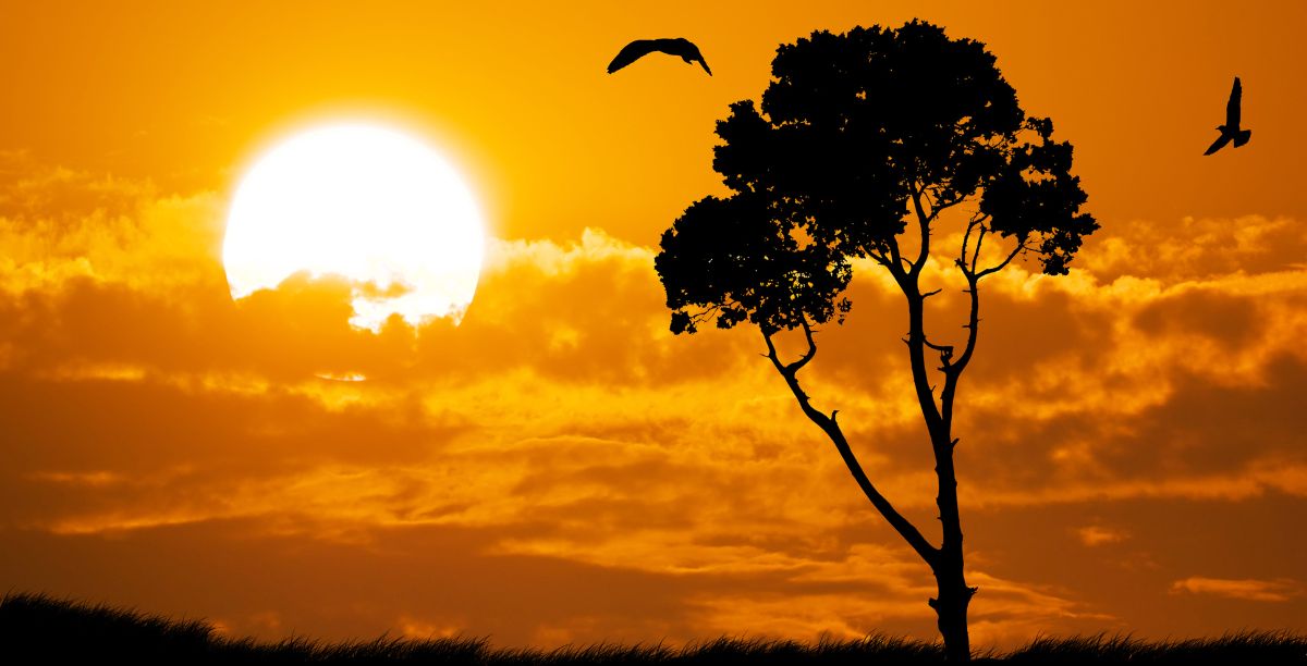 Por do sol em África. Foto © Toltek
