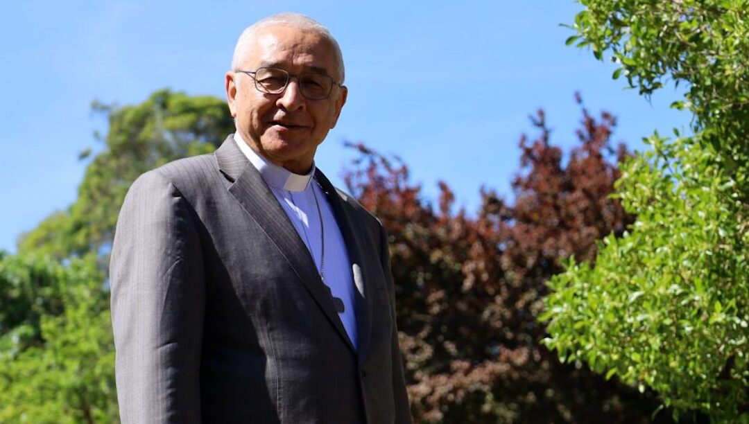 José Ornelas: “A Igreja não está acima da lei”