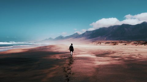 Encontrando uma ideia pela qual vale a pena viver e morrer ENTREM-Presley-pexels-tom-swinnen-934718