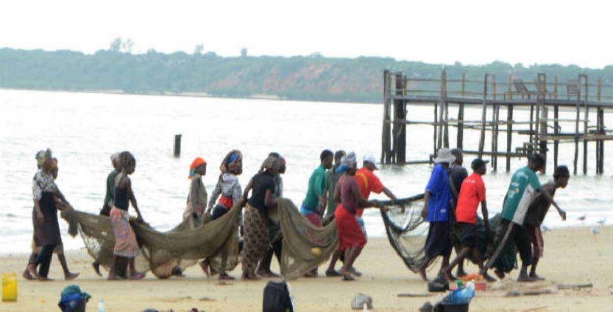 Trabalho, África, africanos Foto Rádio ONU/Ouri Pota