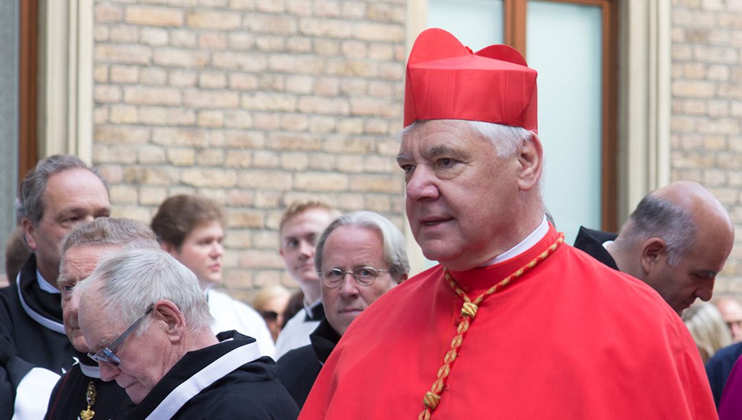 Renúncia papal só em casos “deveras radicais”