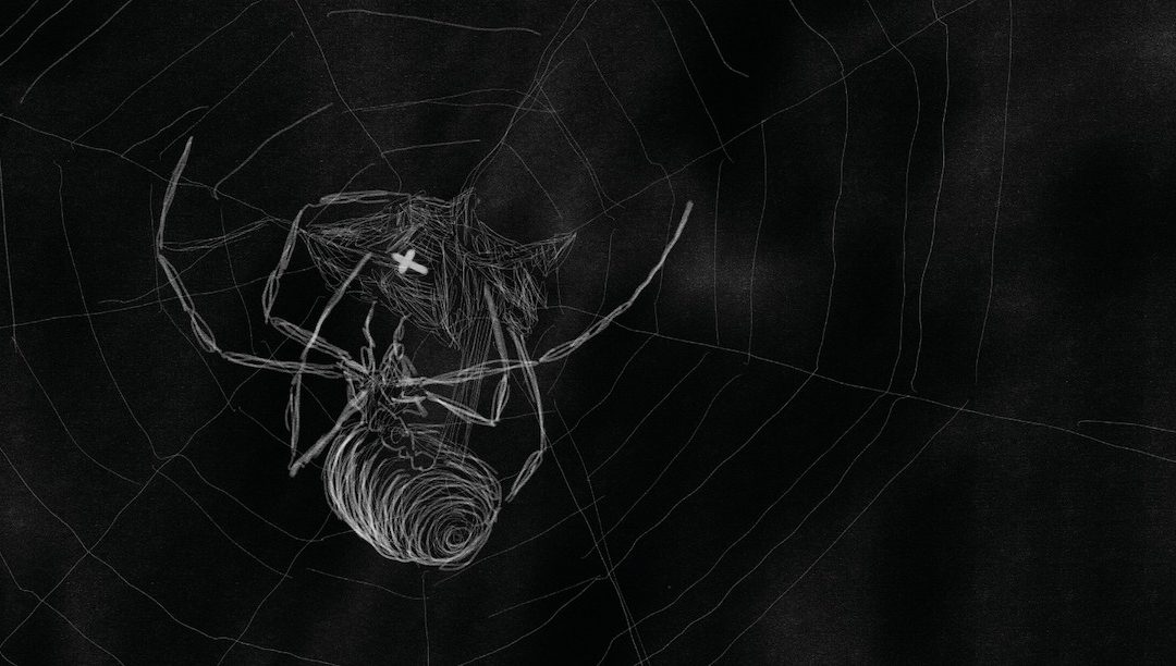 A teia de aranha