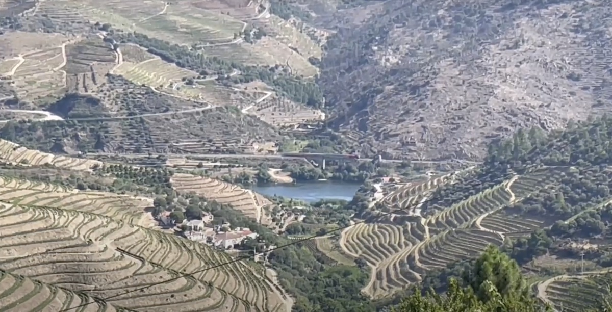 Douro. Rio. Montanha.  Helena Araújo