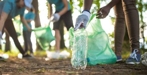 JMJ "mais sustentável de sempre" põe peregrinos a calcular pegada carbónica... e mitigá-la Jovens fazem recolha de plástico para mitigar pegada ambiental. Foto © miodrag ignjatovic