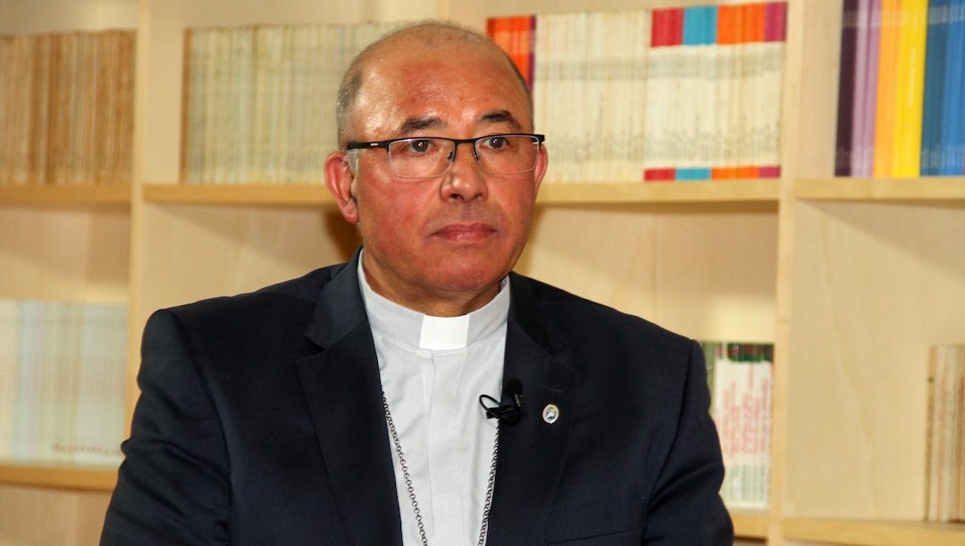 Patriarca de Lisboa critica católicos que são contra imigrantes