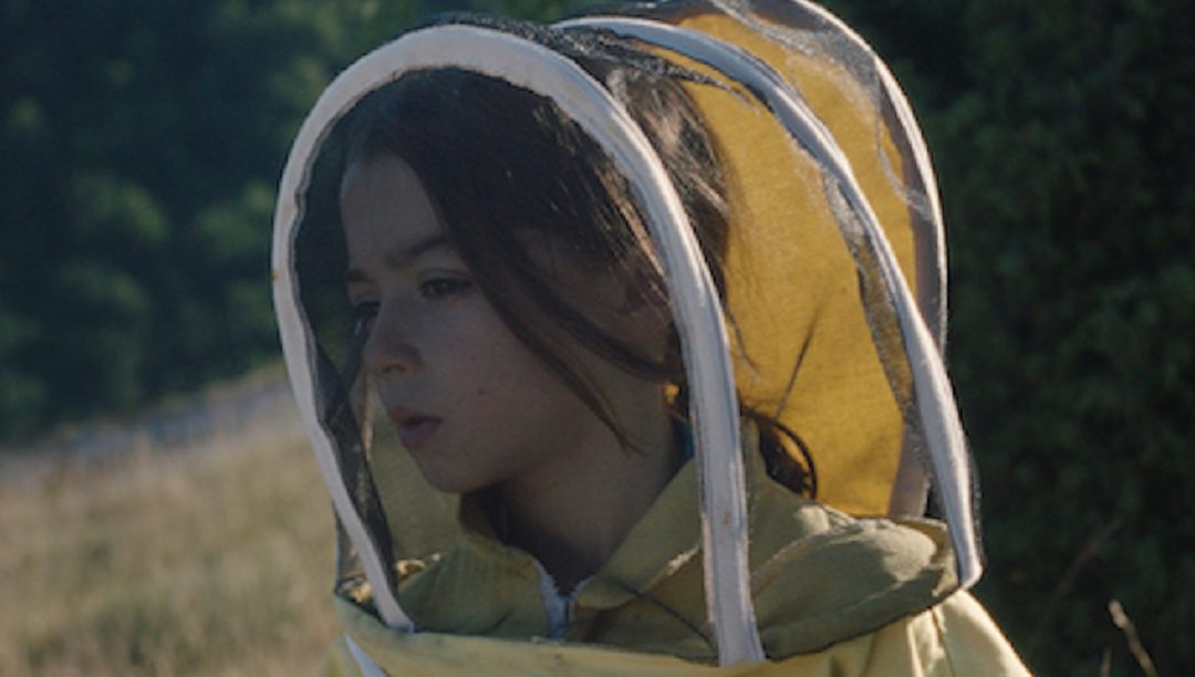20 000 Espécies de Abelhas – um filme para refletir