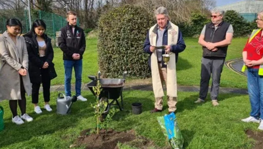 Bispos irlandeses comprometem-se a devolver 30% dos terrenos da Igreja à natureza