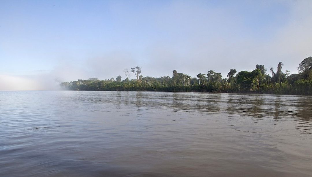 Referendo trava exploração de petróleo numa reserva amazónica