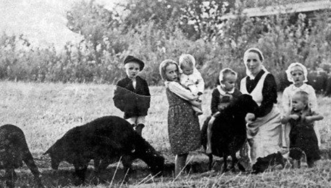A história dos Ulma: a família inteira – e numerosa! – que vai ser beatificada