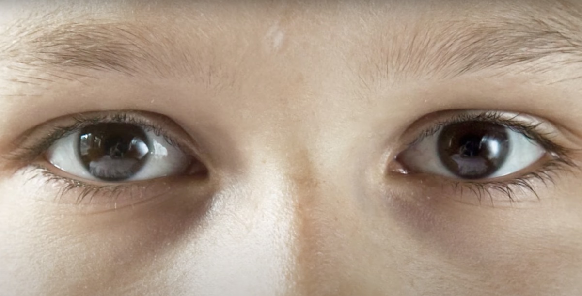 Laudate Deum, olhos, rosto, olhar Laudate Deum, olhos, rosto, olhar
