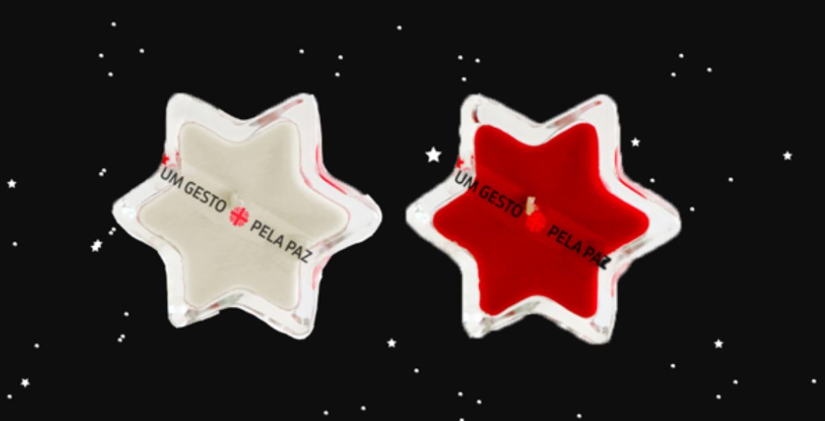 Campanha 10 Milhões de Estrelas, Cáritas Portuguesa