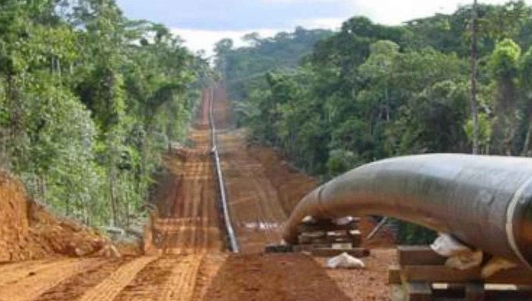 TotalEnergies desrespeita milhares de sepulturas para construir maior oleoduto do mundo