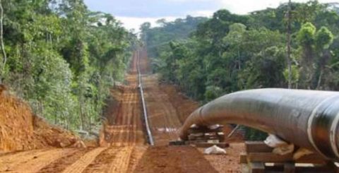 TotalEnergies desrespeita milhares de sepulturas para construir maior oleoduto do mundo EACOP, maior oleoduto, em construção pela TotalEnergies. Foto OxFam