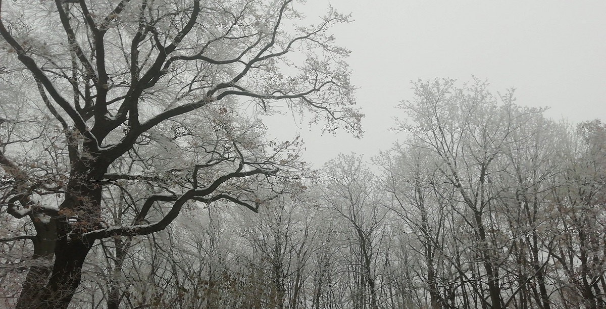 Natureza