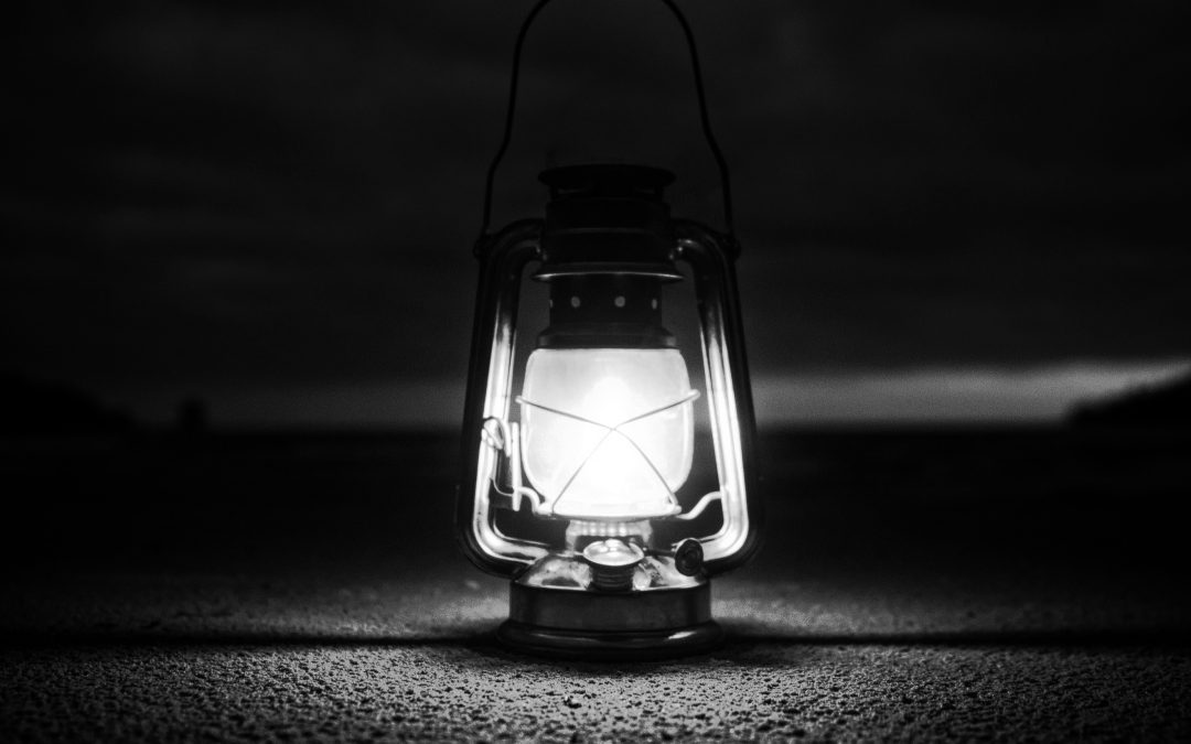 só a noite nos segreda a promessa da luz
