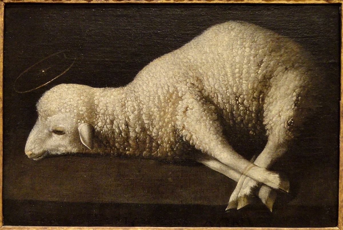 Cordeiro de Deus