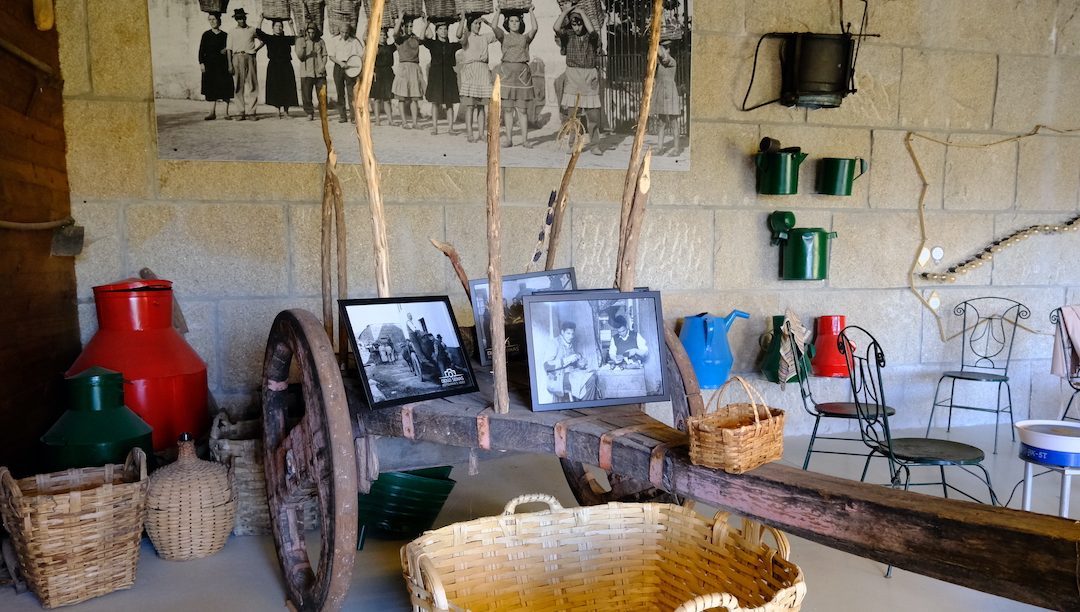 Projeto turístico do Douro liga a gastronomia à olaria tradicional