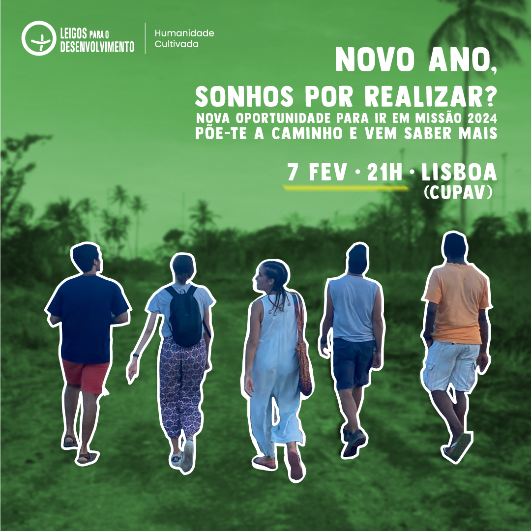 Leigos para o Desenvolvimento, cartaz