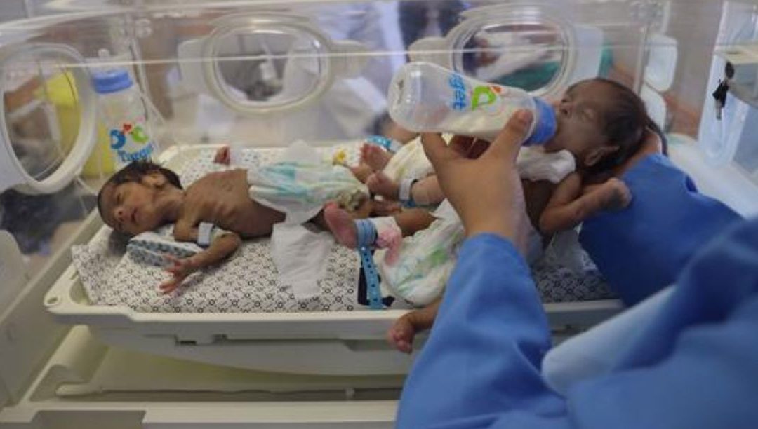Em Gaza, quase 20 mil bebés “nasceram num inferno” desde outubro