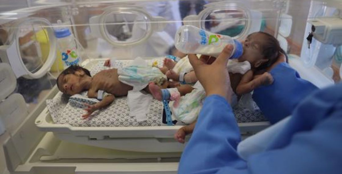 UnicefEyad El Baba Bebês resgatados do hospital Al Shifa, no norte de Gaza, são tratados em um hospital em Rafah, no sul da Faixa (arquivo)