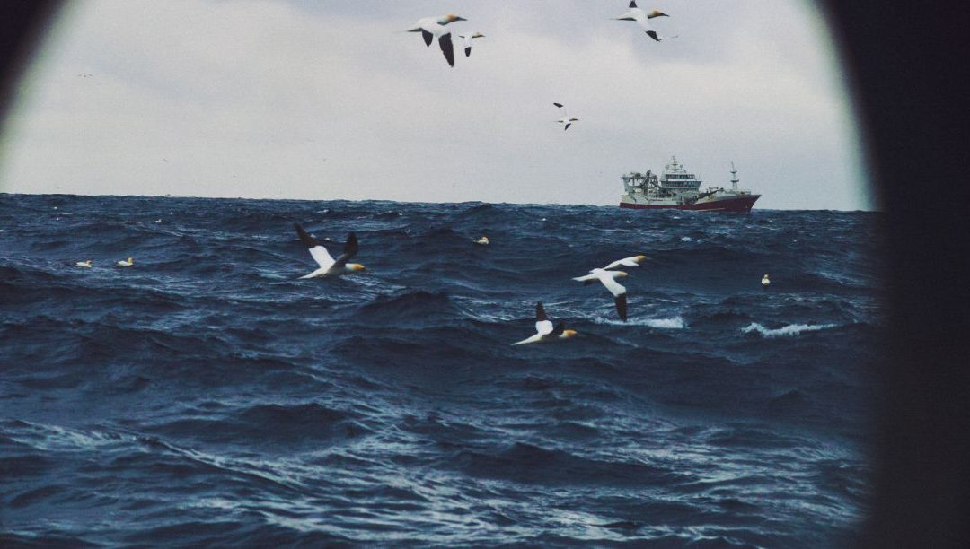 Jovens navegam pela paz no Mediterrâneo