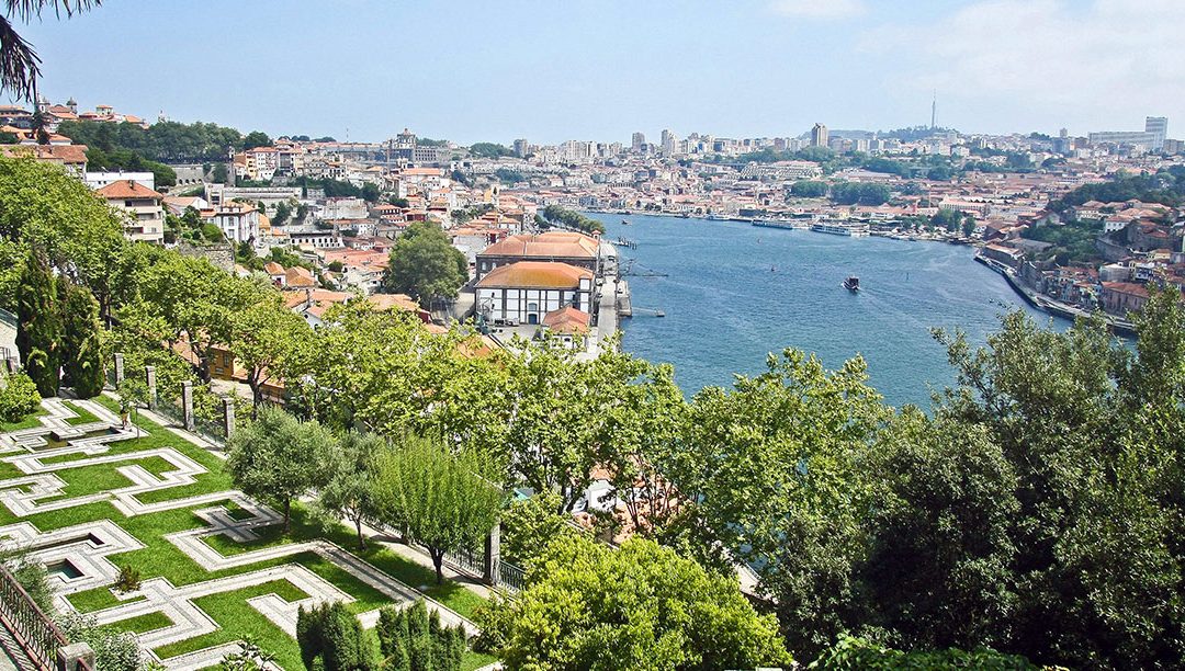 “Eu quero ser uma árvore” no Porto