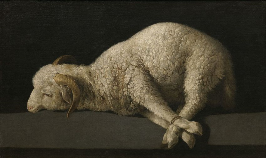 Agnus Dei. Cordeiro de Deus
