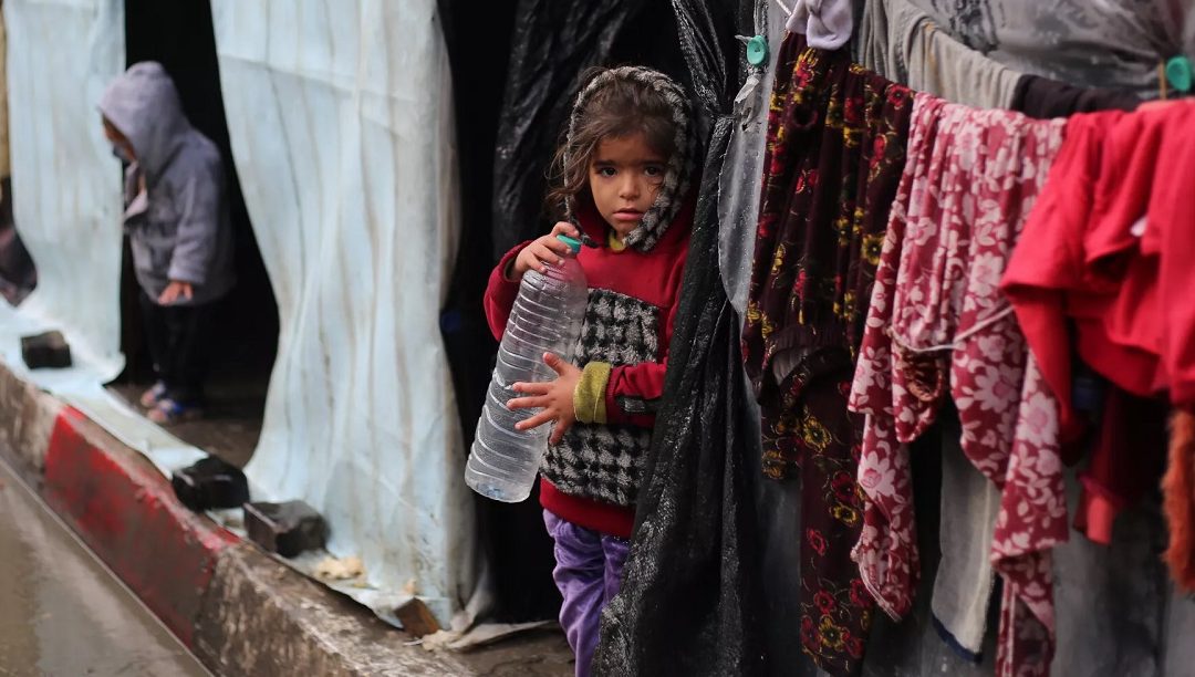 “Temos alimentos às portas de Gaza e as crianças estão a morrer à fome”