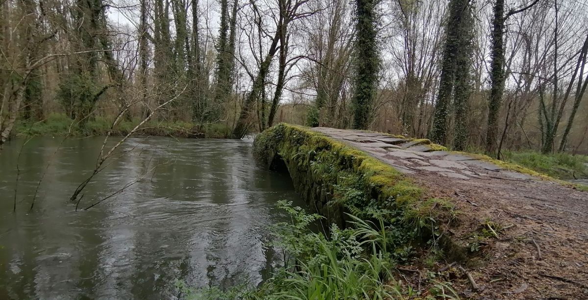Um dos rios a caminho do albergue de Mos, no Caminho de Santiago. Foto © Cláudio Louro
