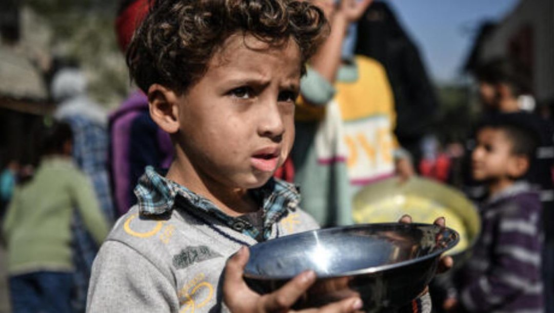 Papa contestado por pedir investigação à hipótese de “genocídio” em Gaza