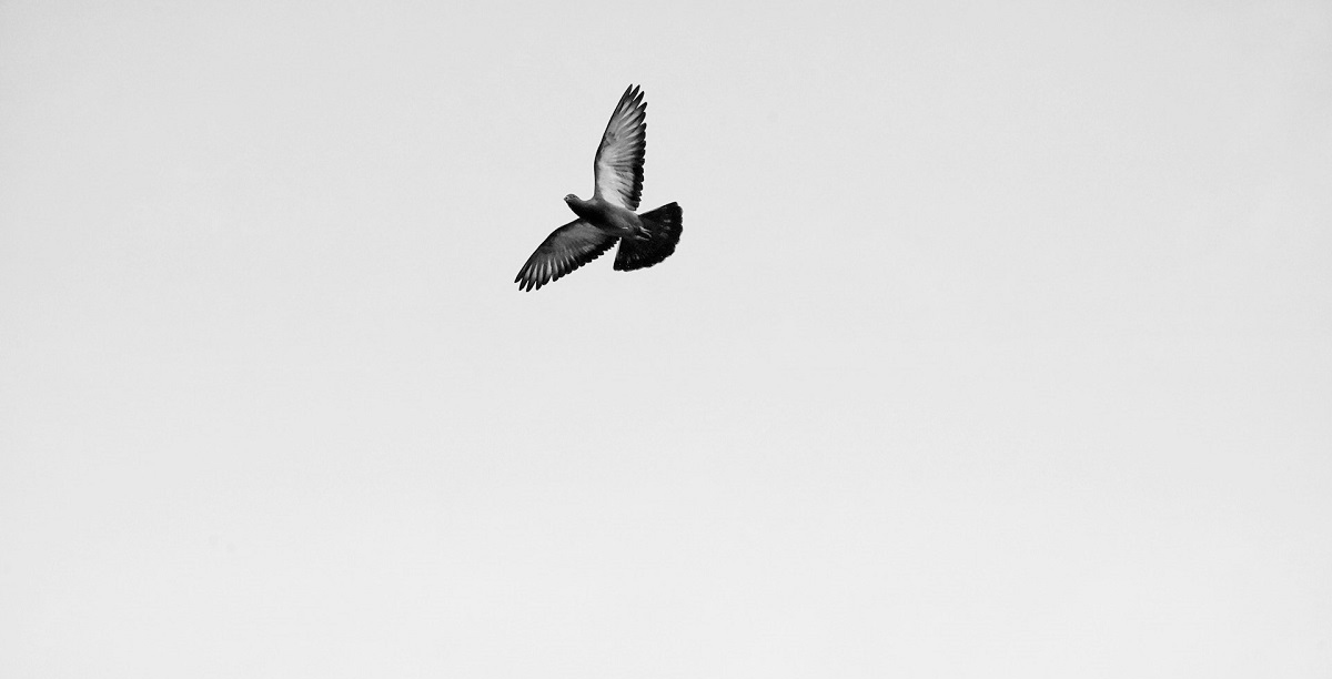 Foto © Tamilazhagan | Unsplash