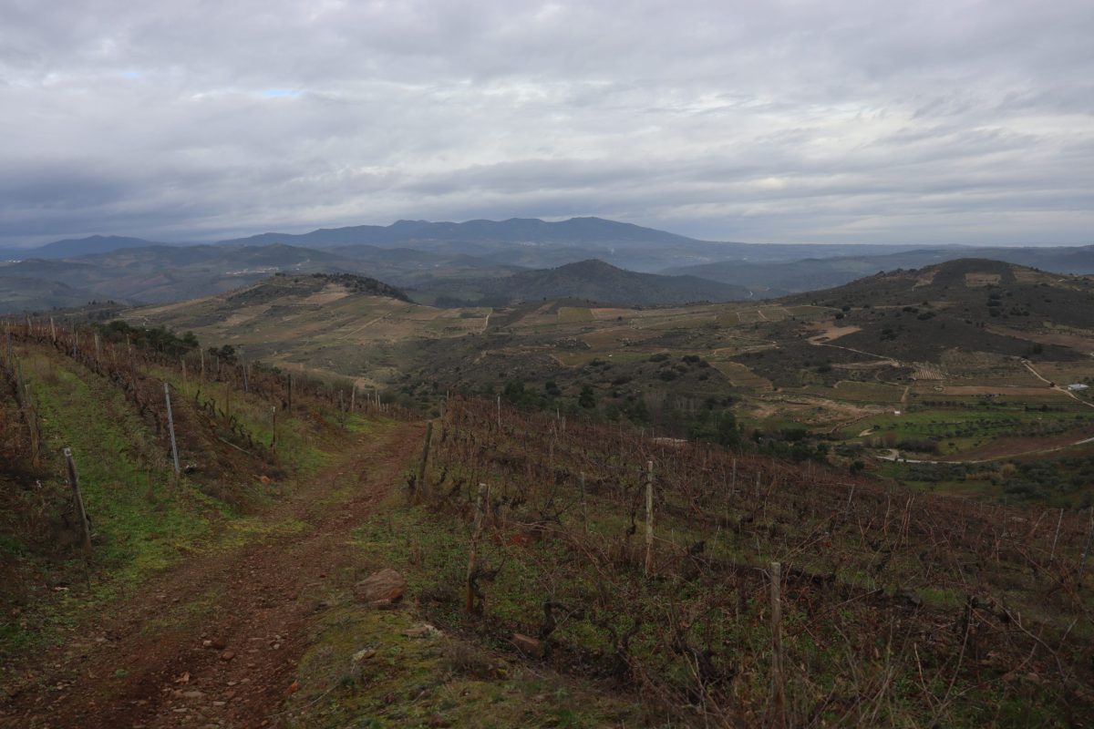 Paisagem rural, Trás-os-Montes.Foto © Rúben Castanheiro