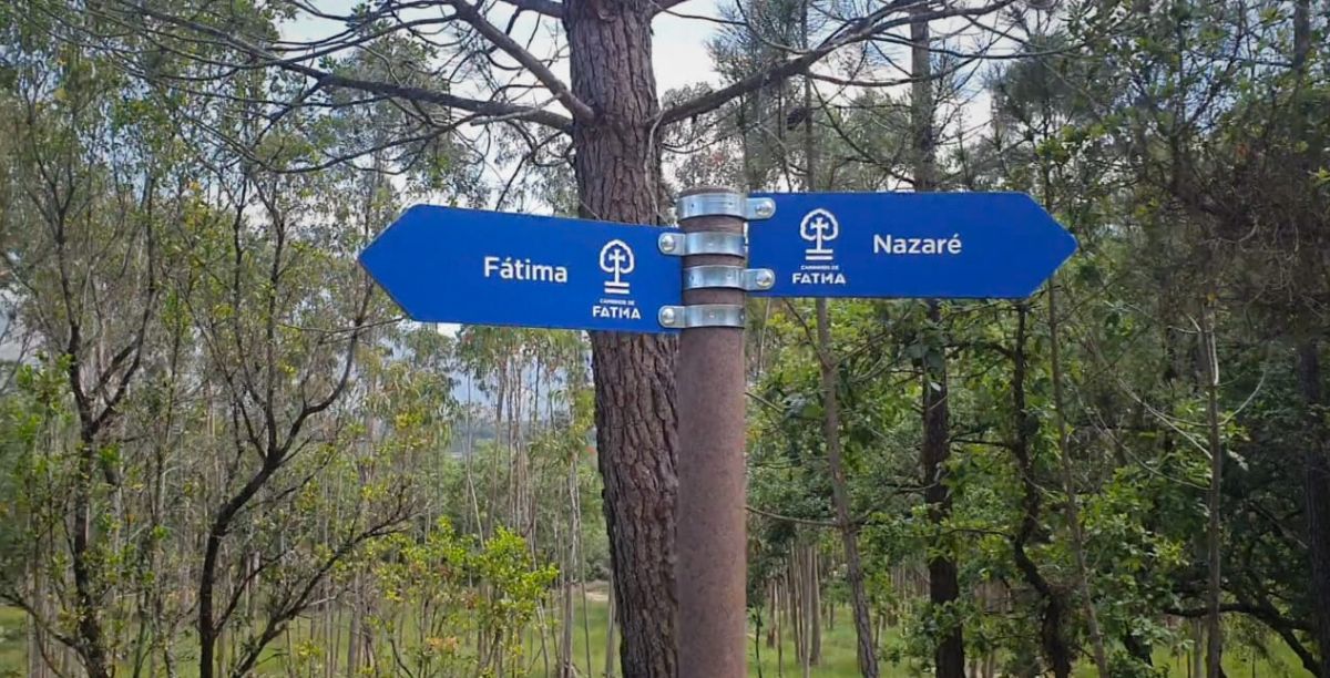 Caminho Poente de Fátima Foto Clara Raimundo