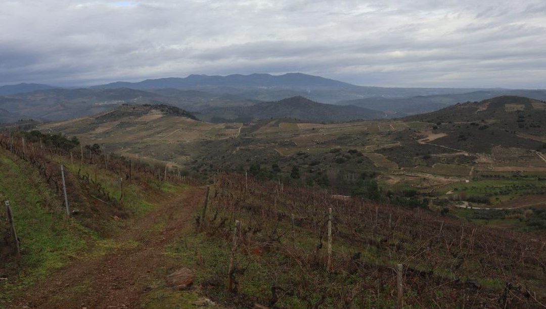 A caminho de Santiago com León de Rosmithal