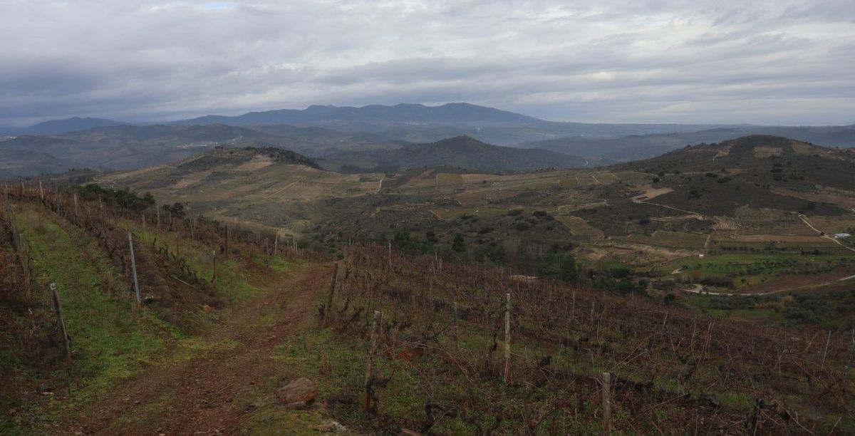 Paisagem rural, Trás-os-Montes. Foto Rúben Castanheiro