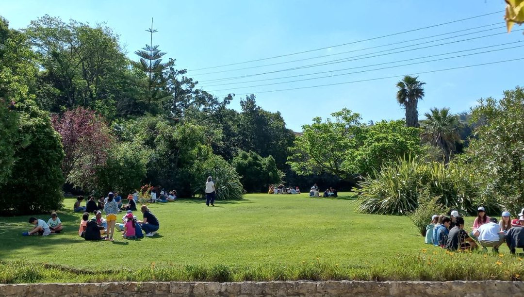 Uma tarde para aprender a “estar neste mundo como num grande templo”