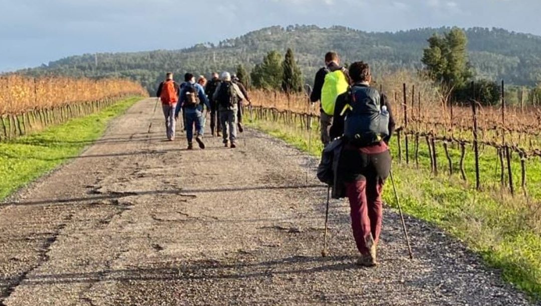 Faltam cinco milhões de passos para unir Assis à Terra Santa, e os portugueses podem dar alguns