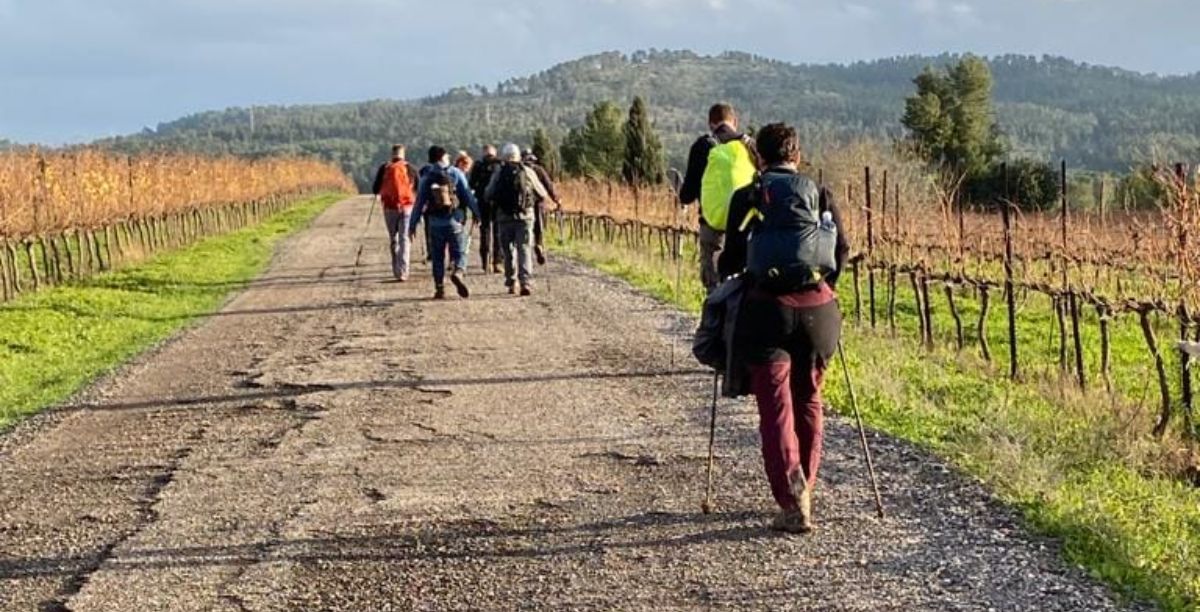 Peregrinos a caminho de Jerusalém. Foto Golan Rice