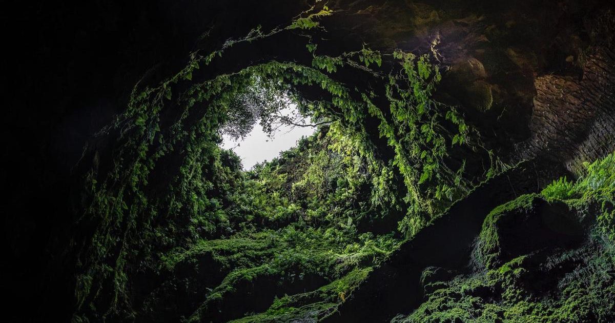 Interior de vulcão na Ilha Terceira, Açores. Foto © Miguel Cardoso