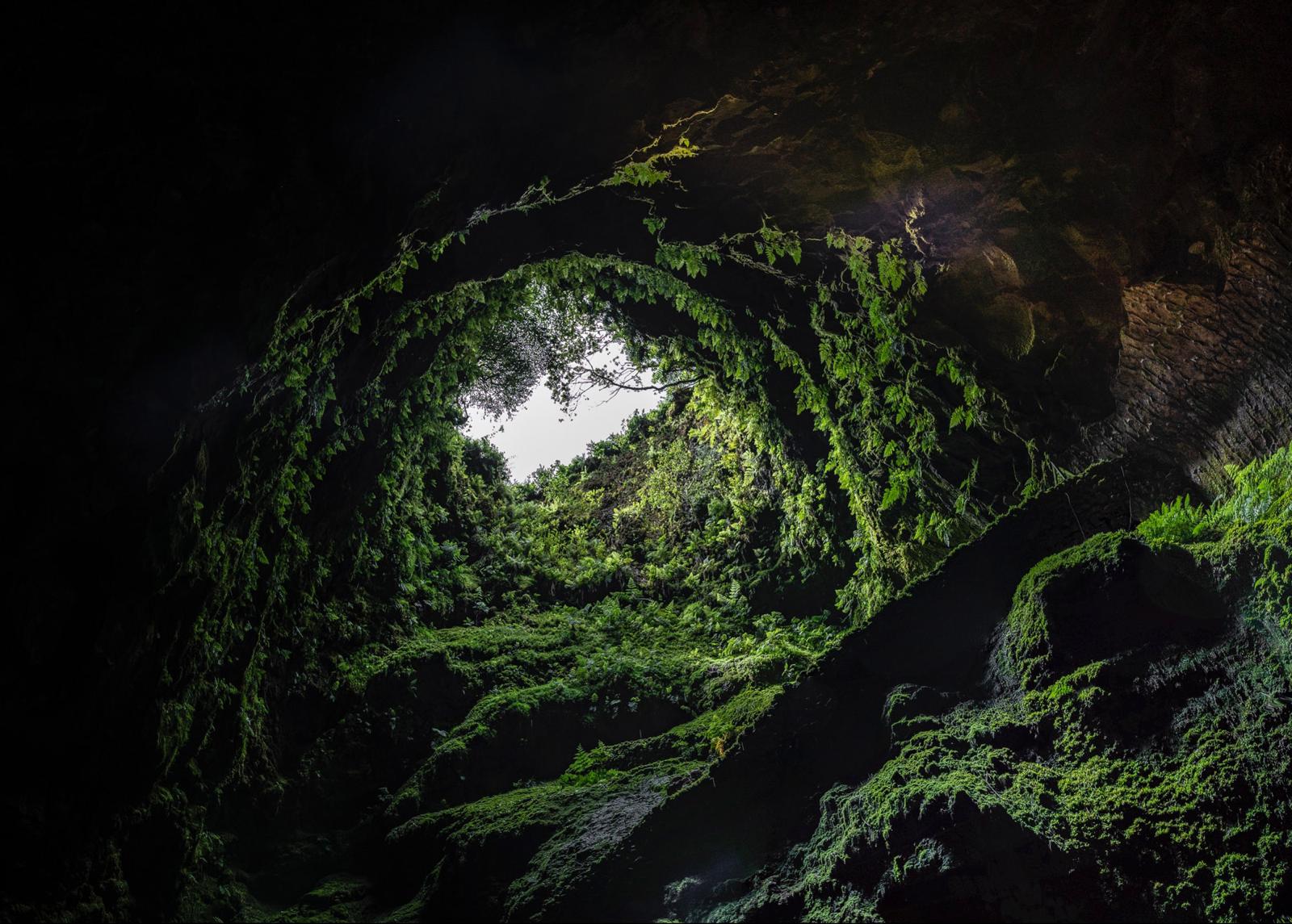 Interior de vulcão na Ilha Terceira, Açores. Foto © Miguel Cardoso