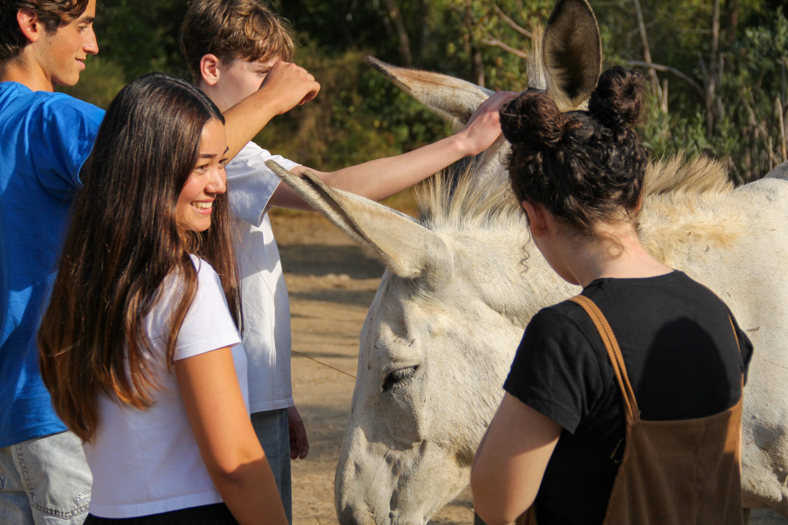 Jovens bahá'ís durante encontro Reconecta, junho 2024. Foto DR