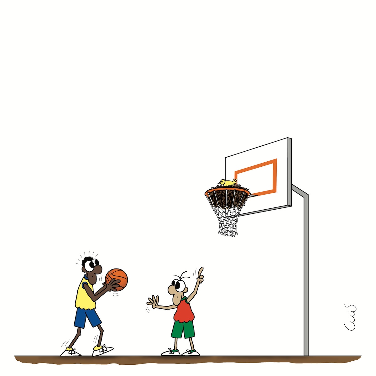 Jogos Olímpicos, Luís Afonso, Desporto, basquetebol