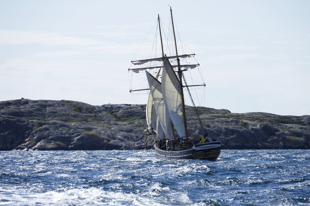 Navio