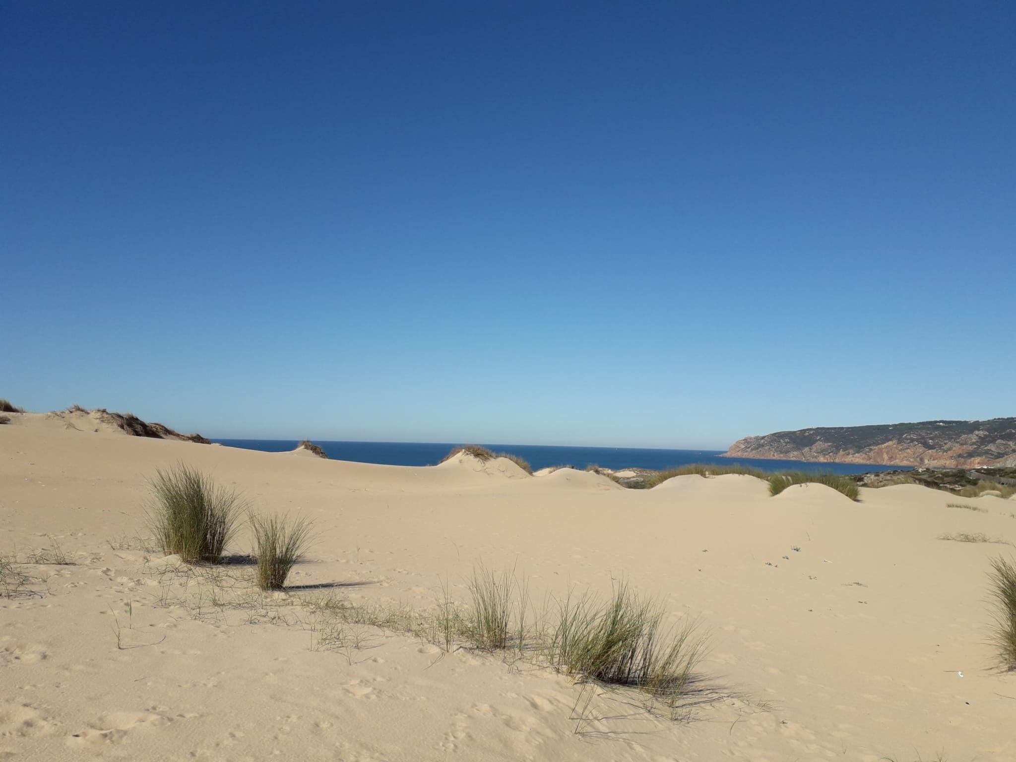 Duna da Crismina. Foto Lucy Wainewright