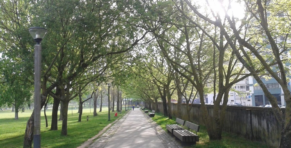 Parque das Conchas