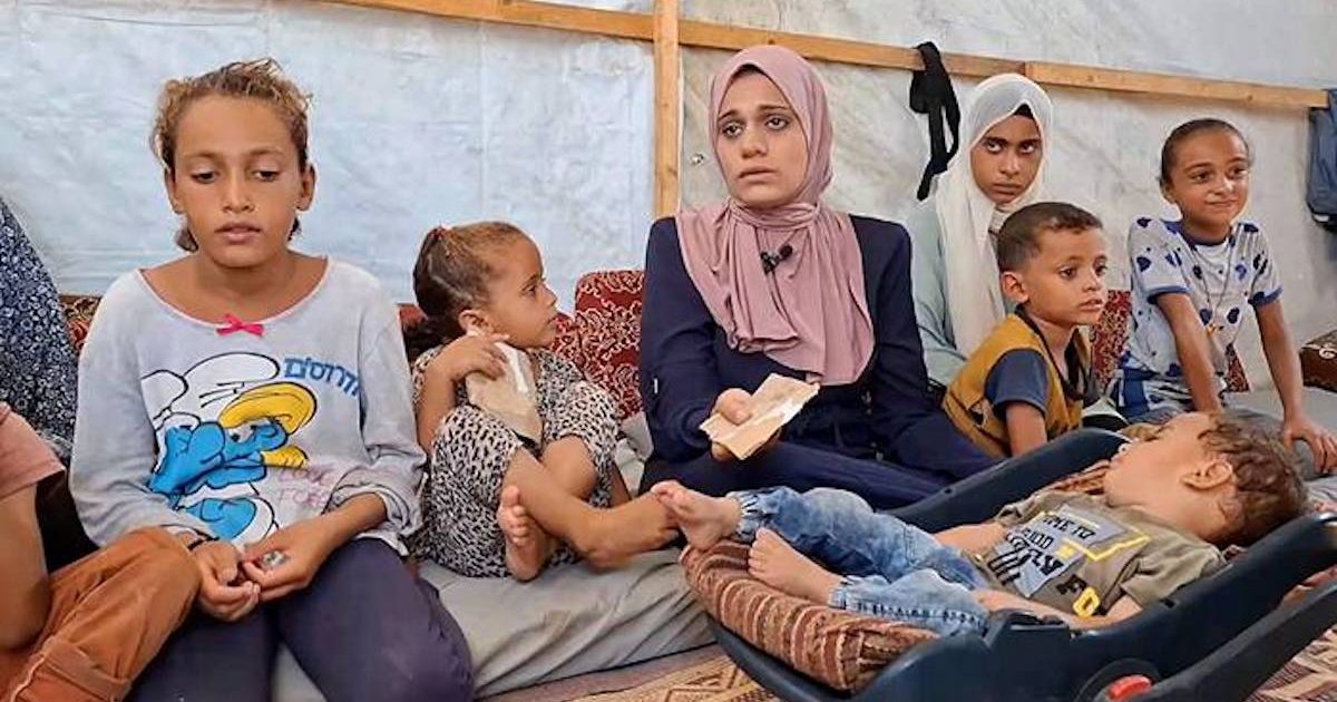 polio gaza O responsável da OMS, Mike Ryan, lembrou que o vírus da poliomielite reapareceu na Palestina ao fim de 25 anos, pedindo que a segurança dos que vão administrar as vacinas seja garantida. Foto © UNRWA.