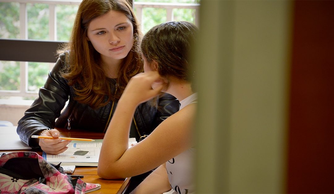 Cáritas Jovem de Leiria procura voluntários para apoio ao estudo