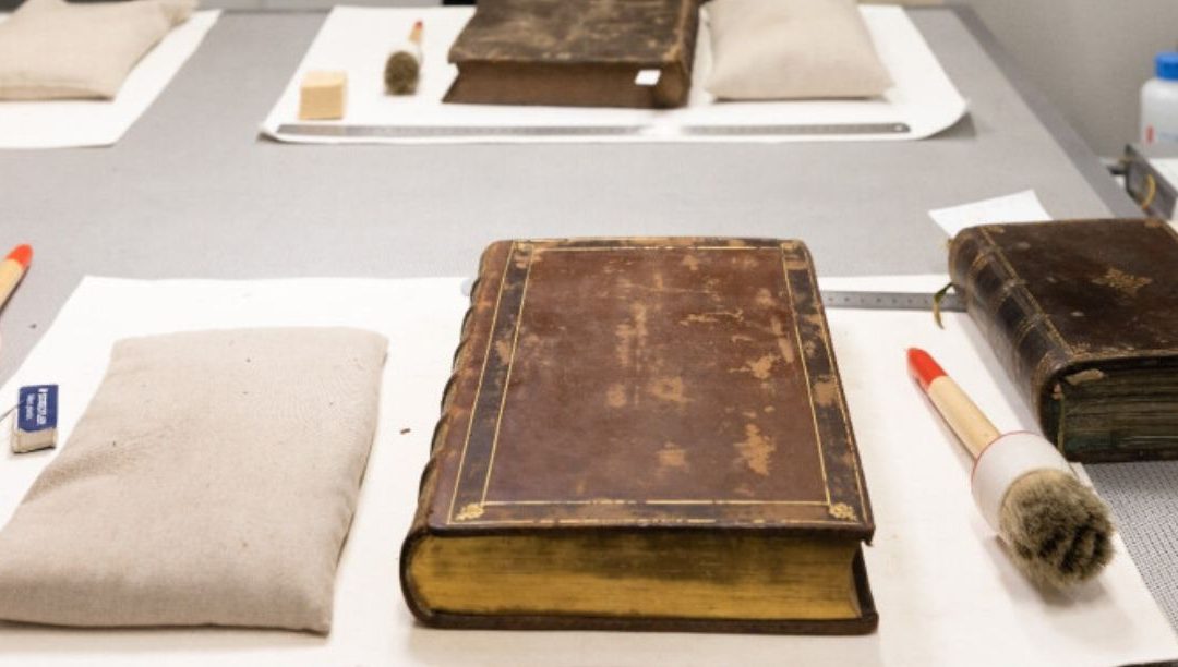 Restauro da biblioteca da Brotéria vence Prémio Vilalva da Gulbenkian